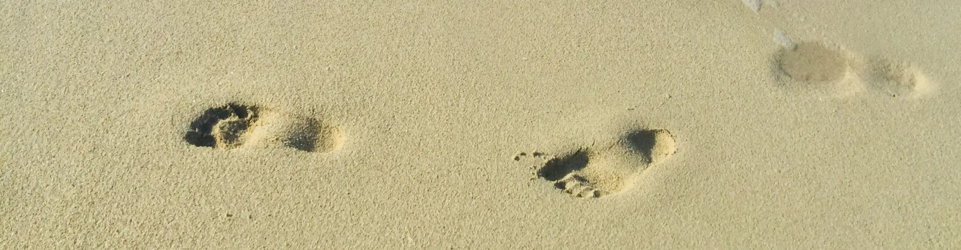 specialized training solutions