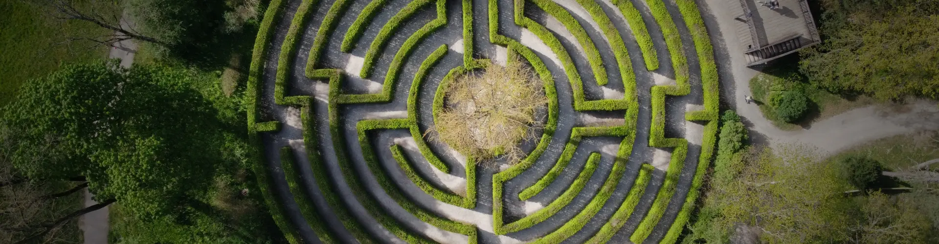 cultivating compliance excellence